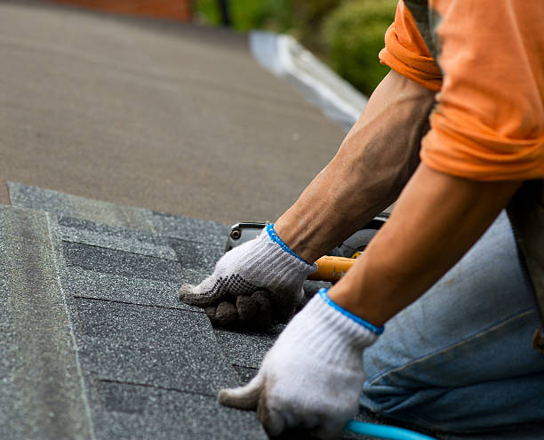 Best Flat Roof Repair Services  in Franklin Park, IL
